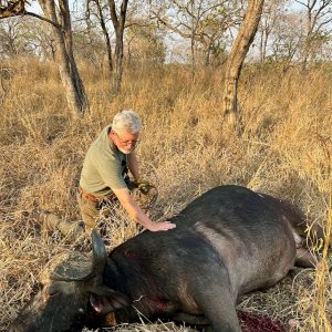 Buffalo Hunt Mozambique