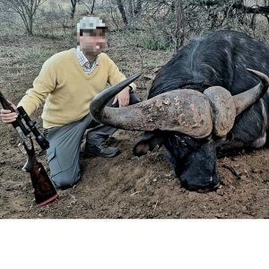 Buffalo Hunt South Africa