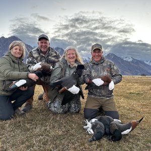 Duck hunting New Zealand