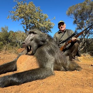 Baboon Hunt South Africa