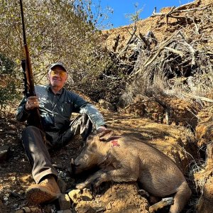 Warthog Hunt South Africa