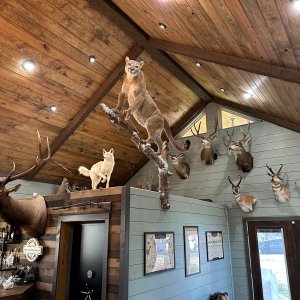 Trophy Room