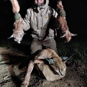 Springhares & Caracal Hunt Eastern Cape South Africa