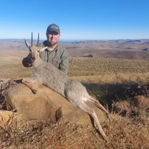 Vaal Rhebuck Hunt Eastern Cape South Africa