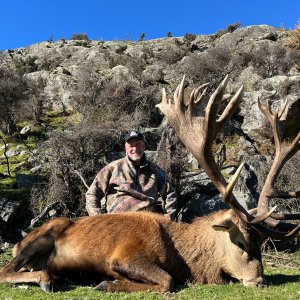 Red Stag Hunt New Zealand