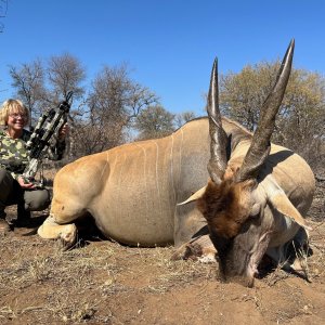 Eland Bow Hunt