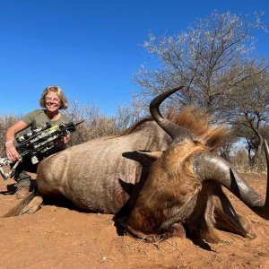 Golden Wildebeest Bow Hunt