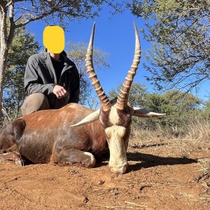 Blesbok Hunt South Africa