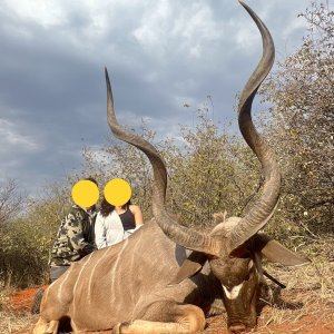 Kudu Hunt South Africa