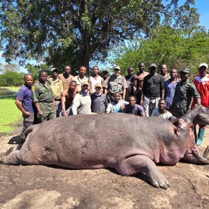 Hippo Hunt Tanzania