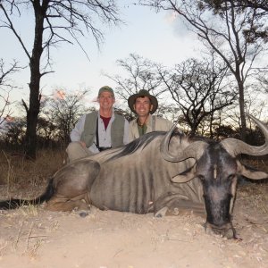 Blue Wildebeest Hunt South Africa