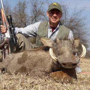 Warthog Hunt South Africa