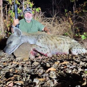 Hyena Hunt Zambia