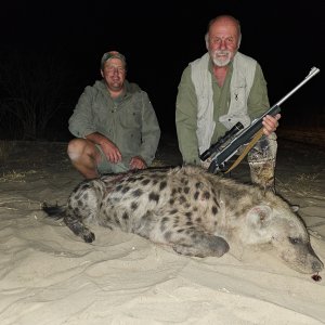 Spotted Hyena Hunt Botswana