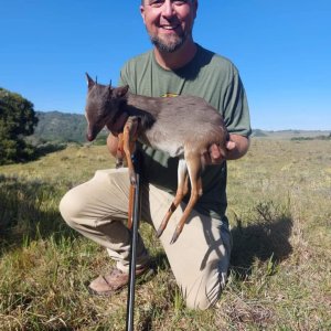 Blue Duiker Hunt South Africa