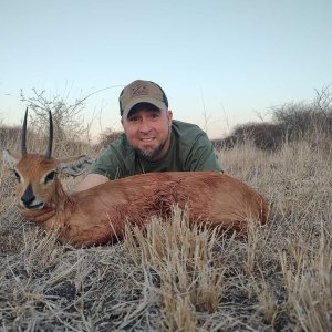 Steenbok Hunt South Africa