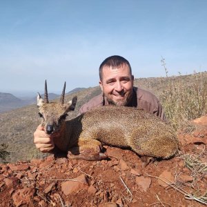 Klipspringer Hunt South Africa