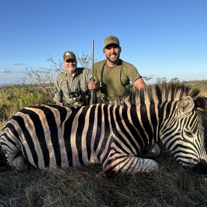 Zebra Hunt South Africa