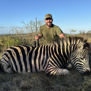 Zebra Hunt South Africa