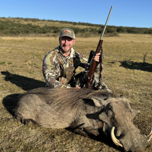 Warthog Hunt South Africa