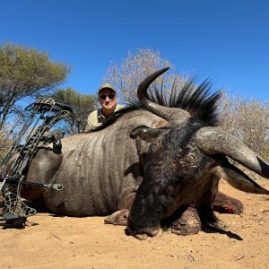 Blue Wildebeest Bow Hunt South Africa