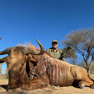 Golden Wildebeest Bow Hunt South Africa