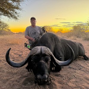 Buffalo Bow Hunt South Africa