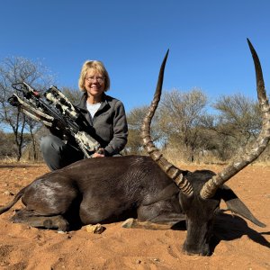 Black Impala Bow Hunt South Africa