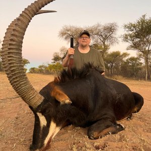 43 Inch Sable Hunt Limpopo South Africa