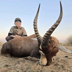 Blesbuck Hunt Kalahari South Africa