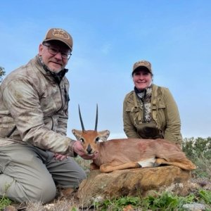 Steenbok Hunt