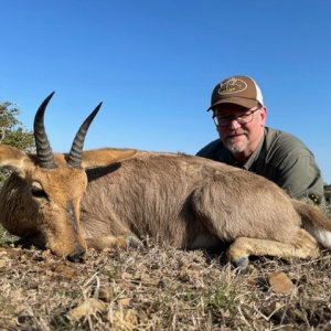 Cape Mountain Reedbuck Hunt