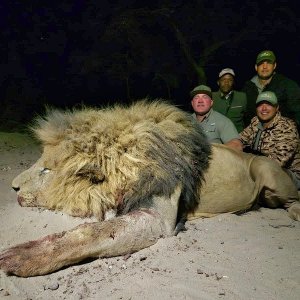 Lion Hunt South Africa