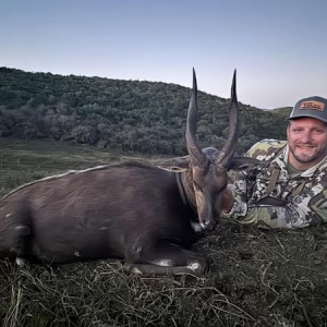 Bushbuck Hunt Eastern Cape South Africa