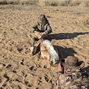 Springbok Hunt South Africa