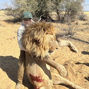 Lion Hunt South Africa