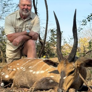 Bushbuck Hunt Zambia