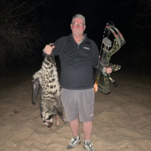 Civet Cat Bow Hunt