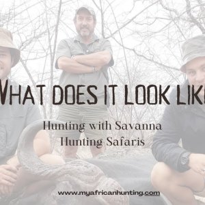 What Does It Look Like Hunting With Savanna Hunting Safaris