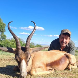 Springbok Hunt South Africa