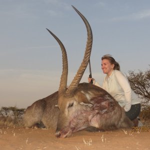 Waterbuck Hunt South Africa