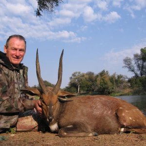 Bushbuck Hunt South Africa