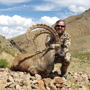 Ibex Hunt Mongolia