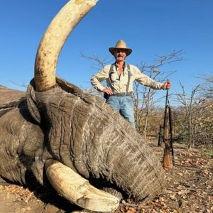 Elephant Bull Hunt Botswana