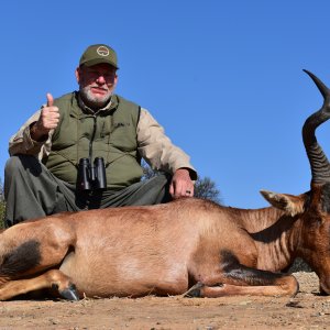 178cm Red Hartebeest Hunt South Africa