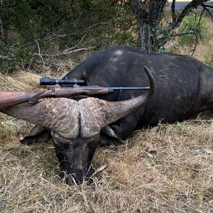 47.5 Inch Buffalo Hunt