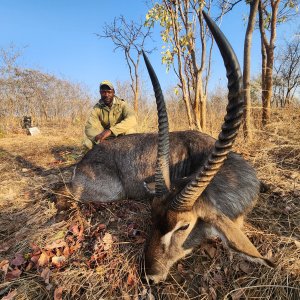 Waterbuck Hunt Zimbabwe