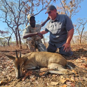 Duiker Hunt Zimbabwe