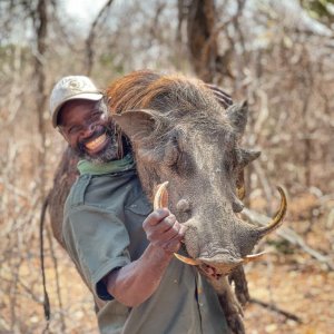 Warthog Hunt Mozambique