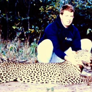 Hunting Leopard Zimbabwe